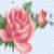 RosePetal
