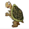 SlowNsteady