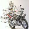 vigor1200