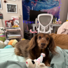 LilyX