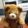 Mickthebear