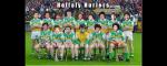 The Irish Brigade of the David Hasselhoff fan club
