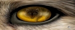 The Omega Wolves