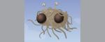 The Pastafarians