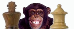 The Shaved Chimps