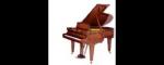 musicians chessplayers
