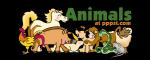 The Animals