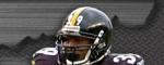 PITTSBURGH STEELERS FANS