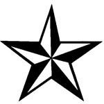 Spinning Stars