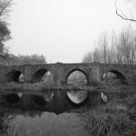 Quintana del Puente