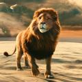 Lions of the Sea
